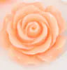 Rose Gold Anal Plugs with Flower Design