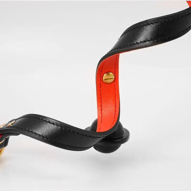 XXX Collar for Adult Play