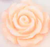 Rose Gold Anal Plugs with Flower Design